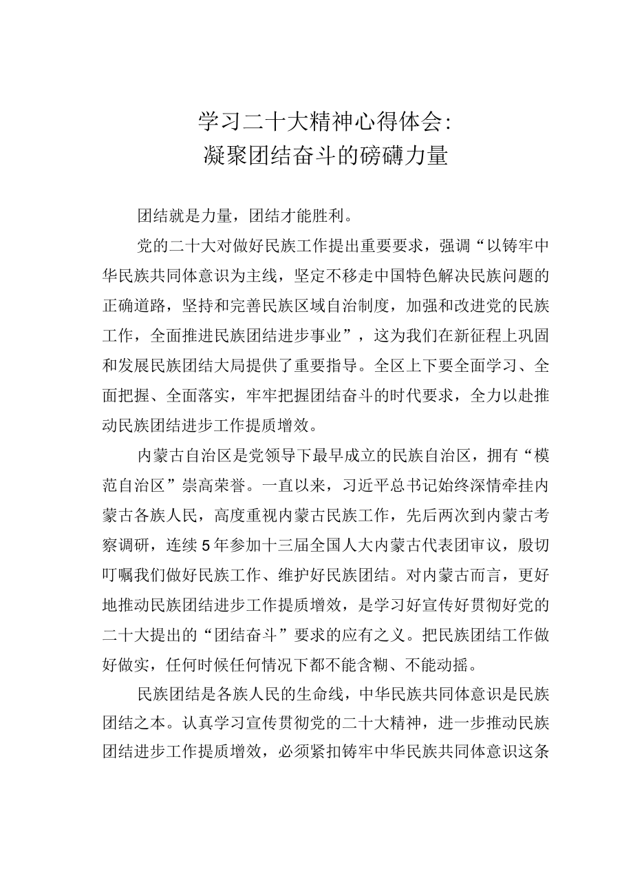 学习二十大精神心得体会：凝聚团结奋斗的磅礴力量.docx_第1页