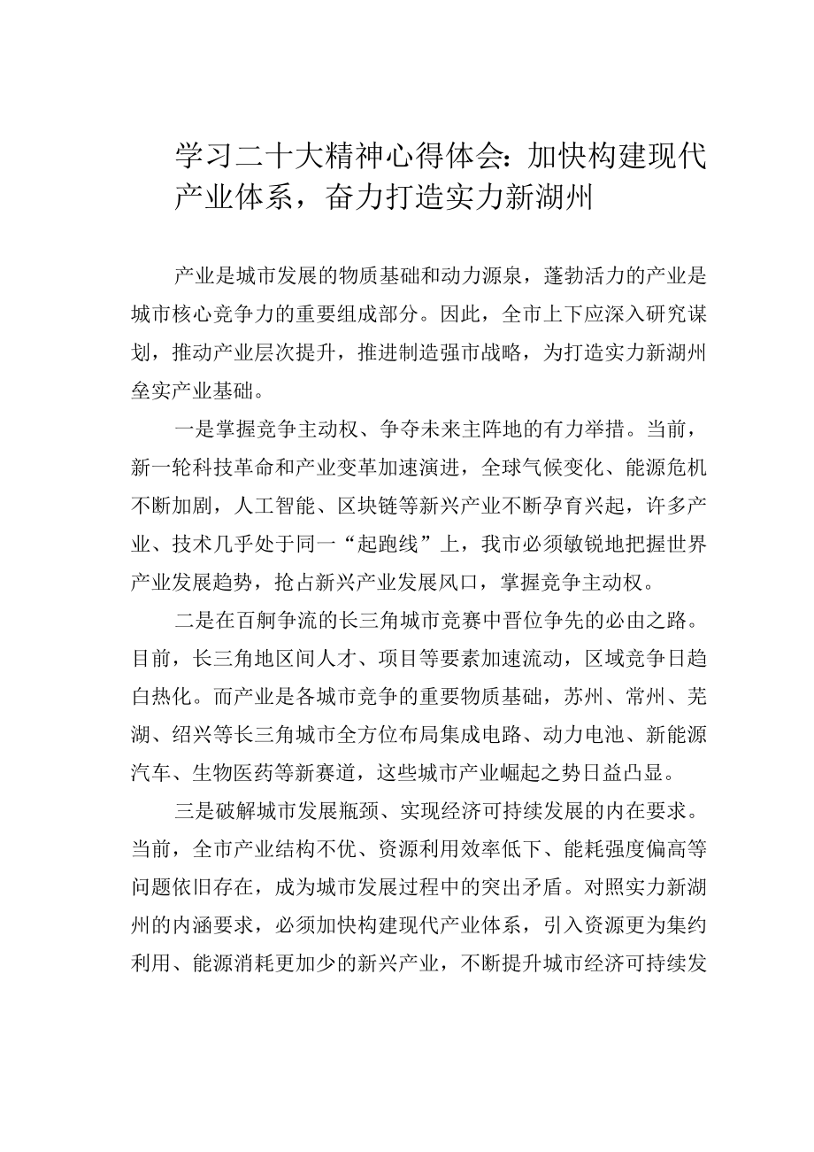 学习二十大精神心得体会：加快构建现代产业体系奋力打造实力新湖州.docx_第1页