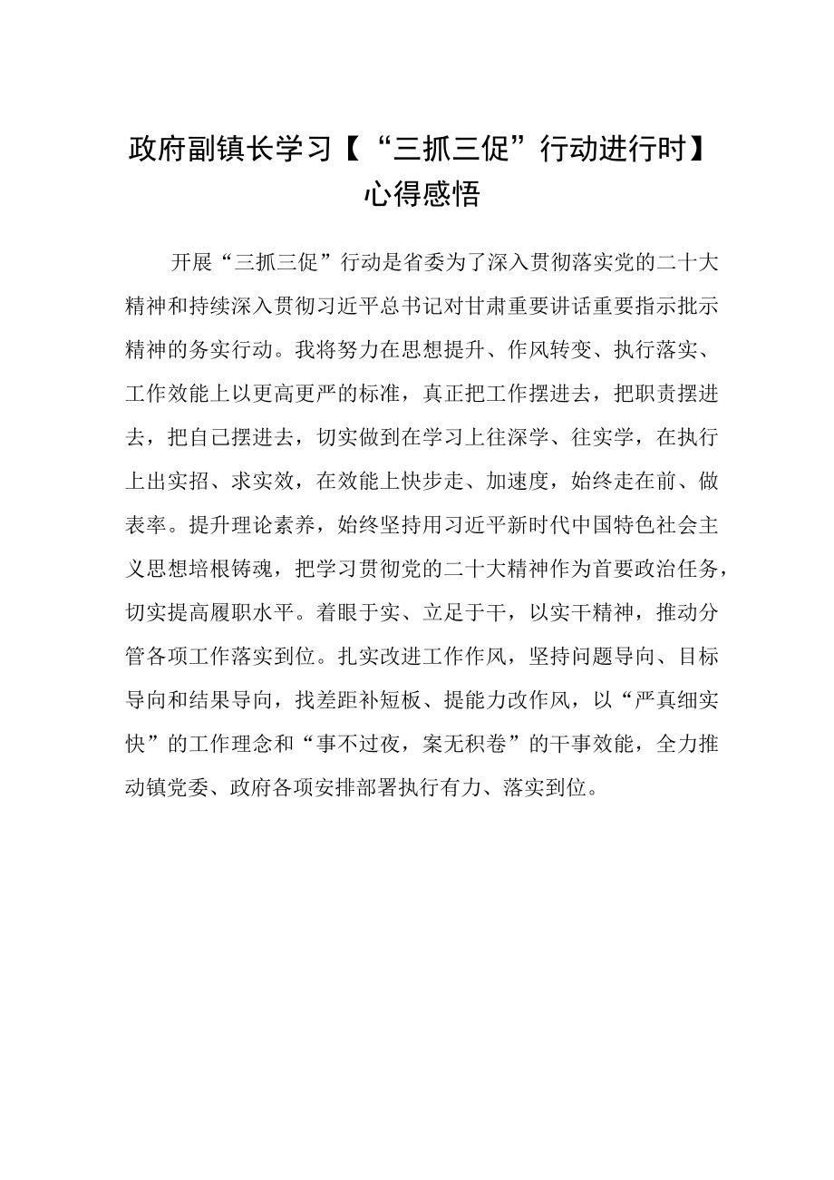 政府副镇长学习三抓三促行动进行时心得感悟.docx_第1页