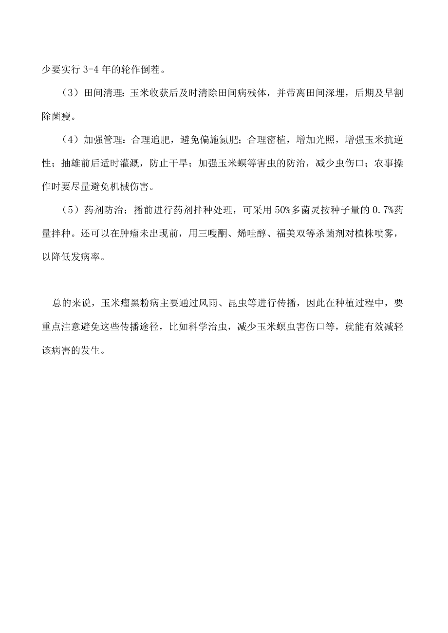 玉米瘤黑粉病的传播途径是什么怎么防治好.docx_第2页