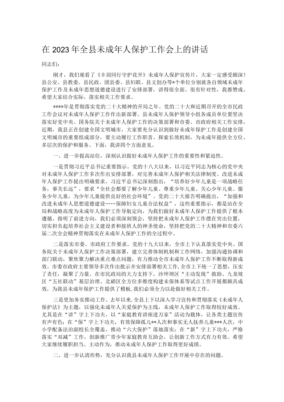 在2023年全县未成年人保护工作会上的讲话.docx_第1页