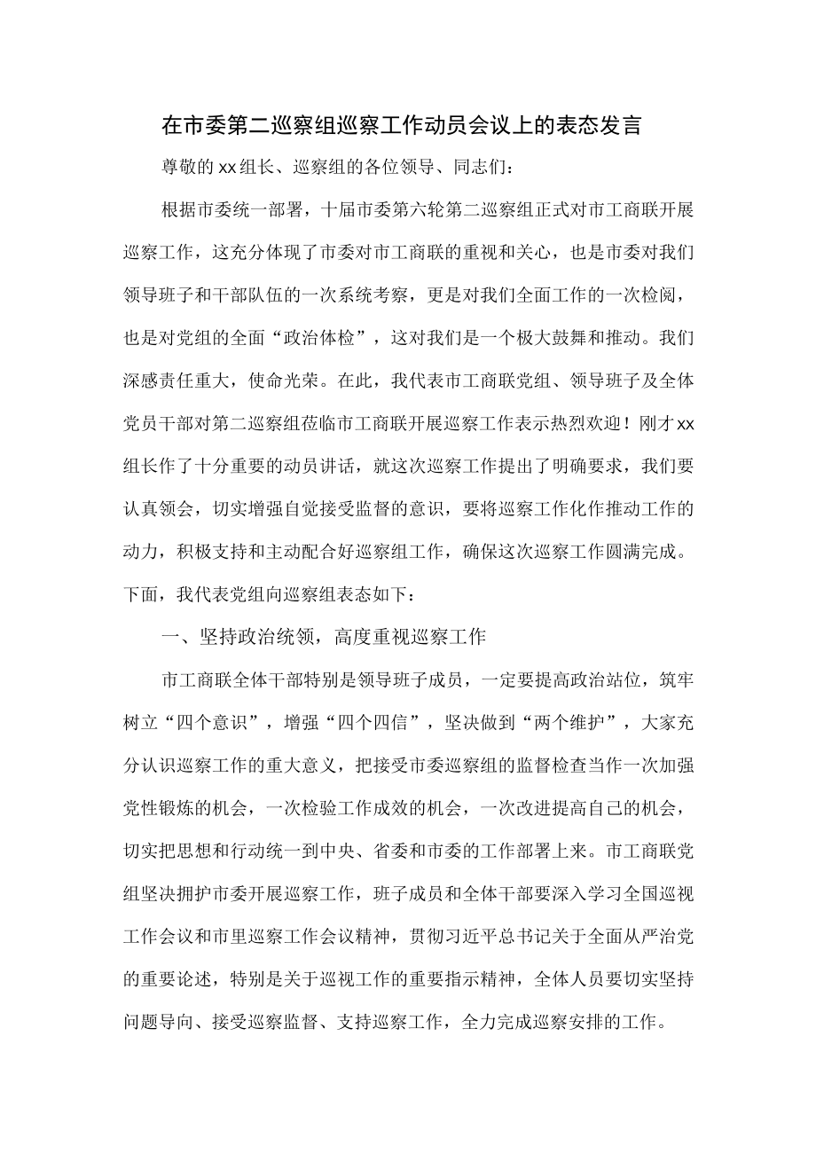 在市委第二巡察组巡察工作动员会议上的表态发言.docx_第1页