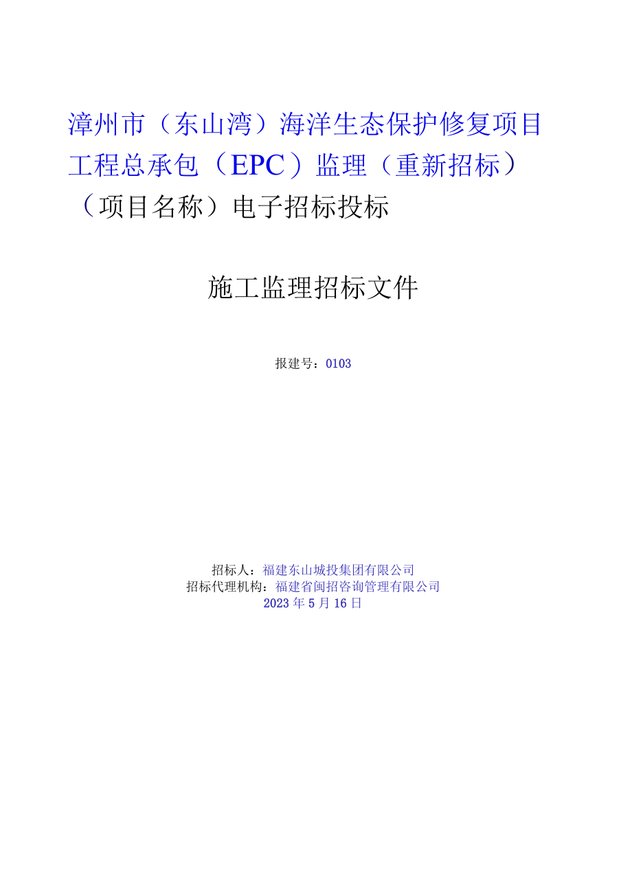 福建省公路水运工程电子招标投标示范文本2023福建省水运工程施工监理招标文件.docx_第3页