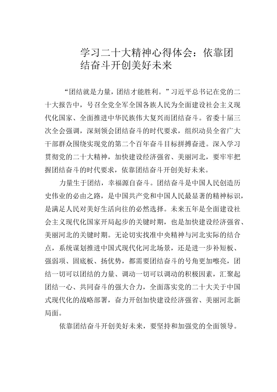 学习二十大精神心得体会：依靠团结奋斗开创美好未来.docx_第1页