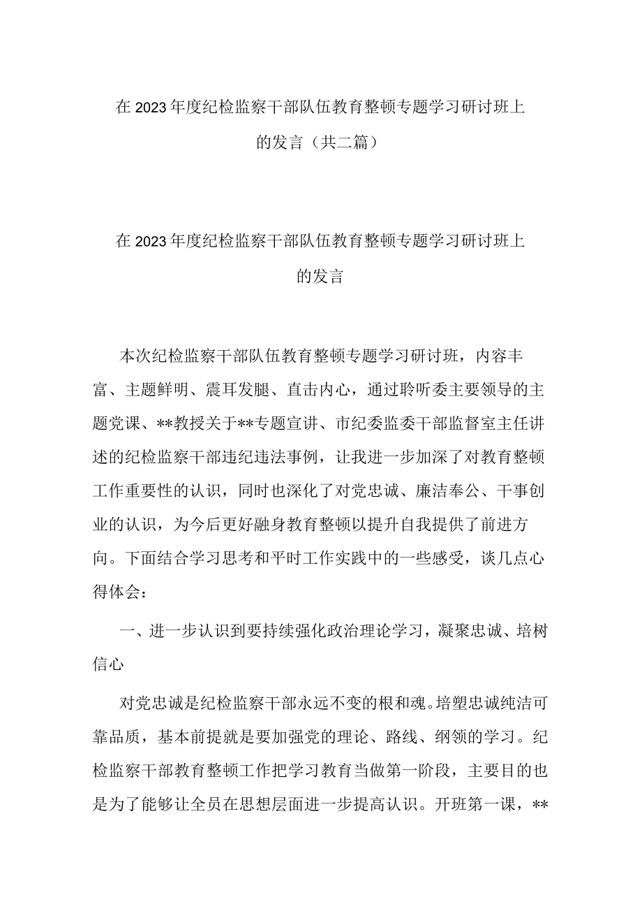 在2023年度纪检监察干部队伍教育整顿专题学习研讨班上的发言(共二篇).docx_第1页