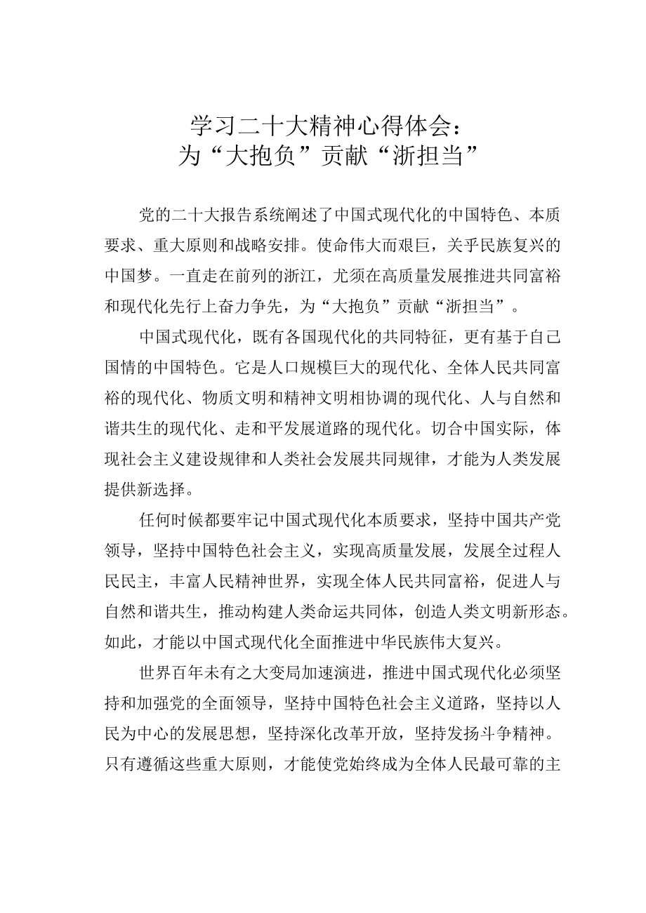 学习二十大精神心得体会：为大抱负贡献浙担当.docx_第1页