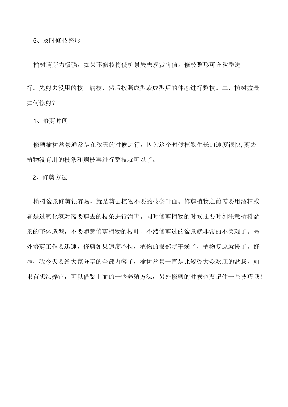 榆树盆景怎么养如何修剪.docx_第2页