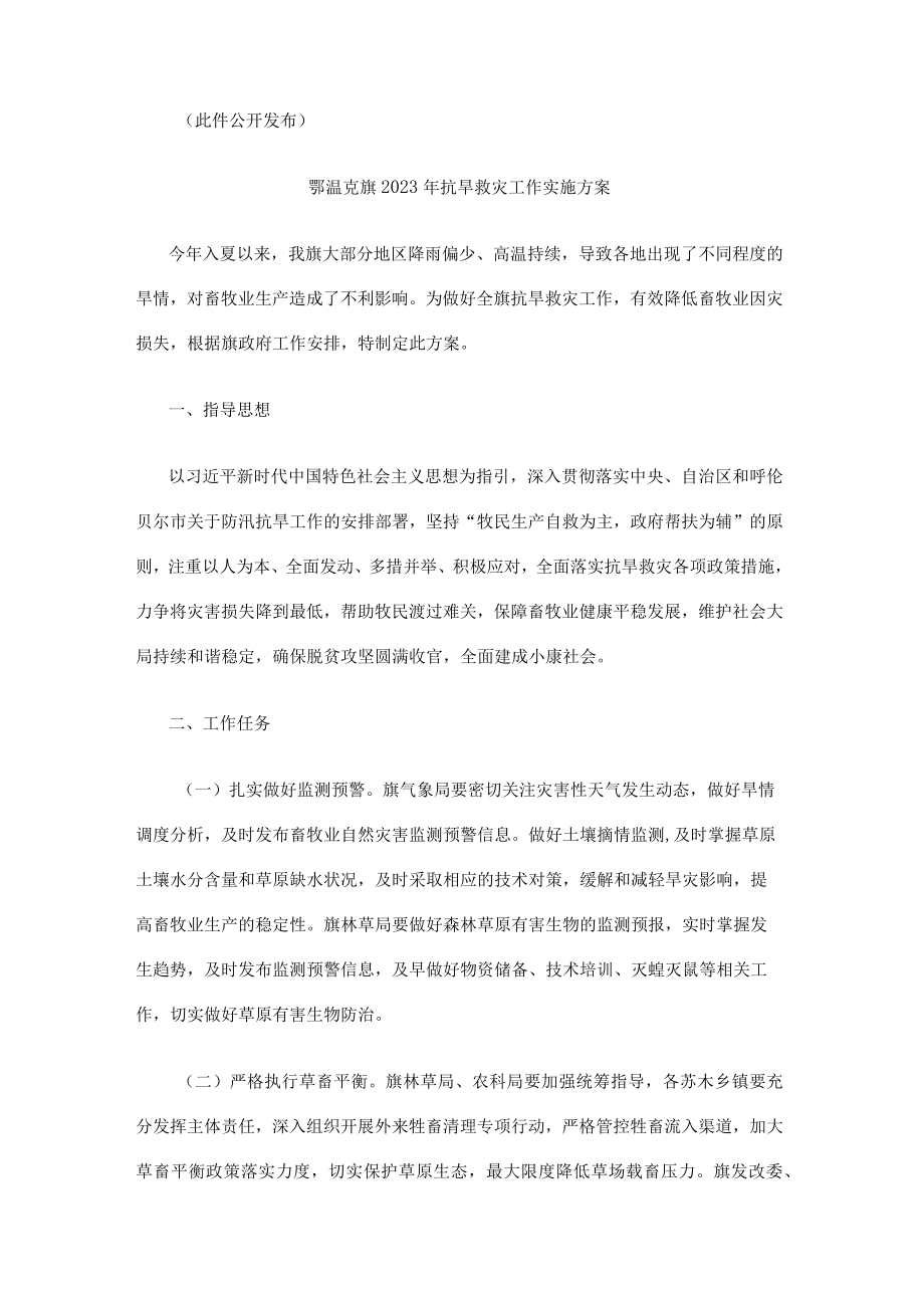 鄂温克旗2023年抗旱救灾工作实施方案.docx_第2页