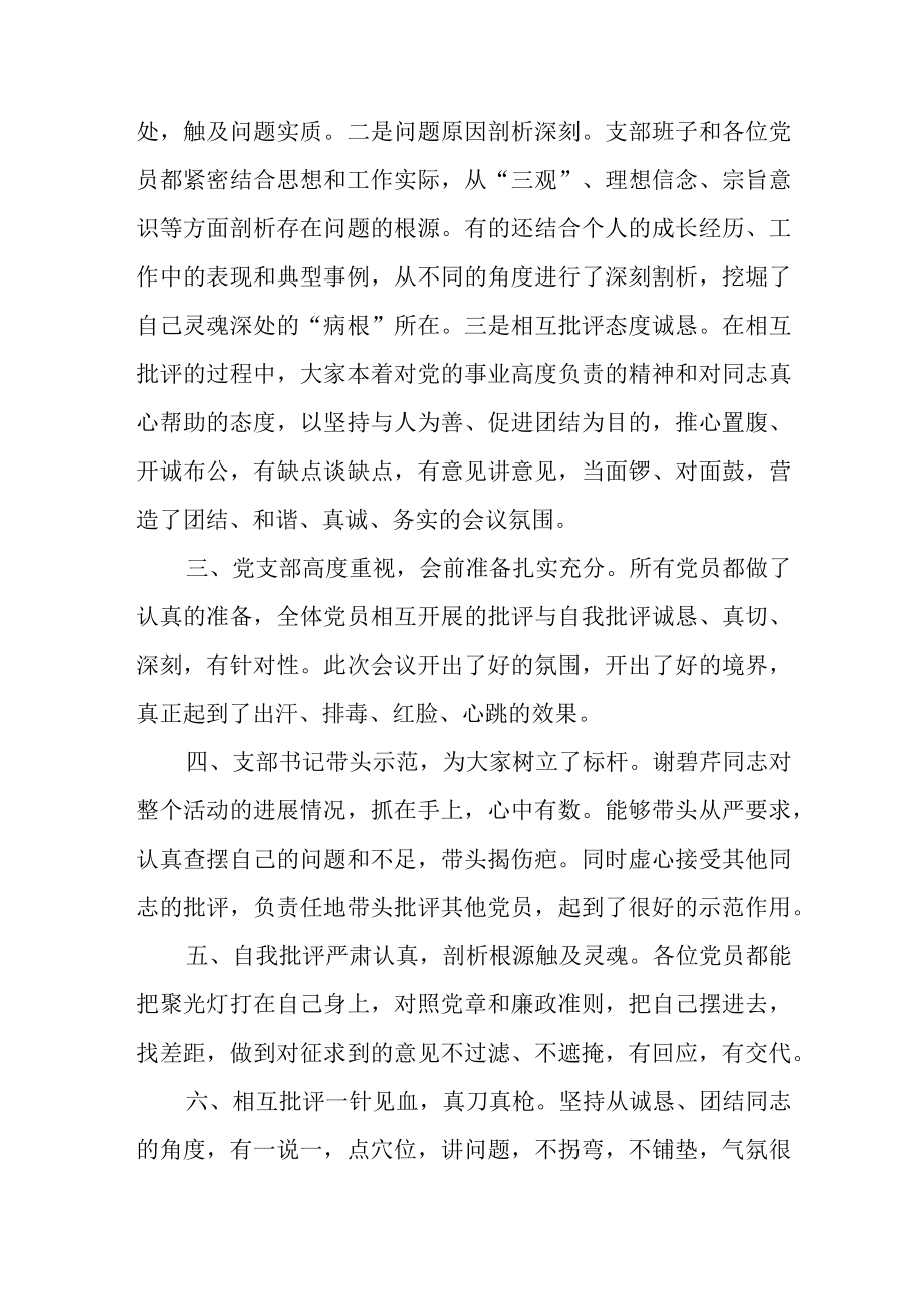 在支部组织生活会上的点评讲话.docx_第2页