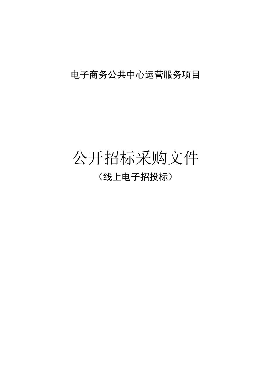 电子商务公共中心运营服务项目招标文件.docx_第1页