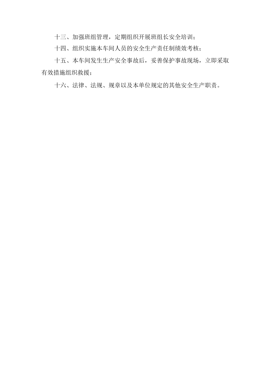 车间主任安全生产责任清单.docx_第2页