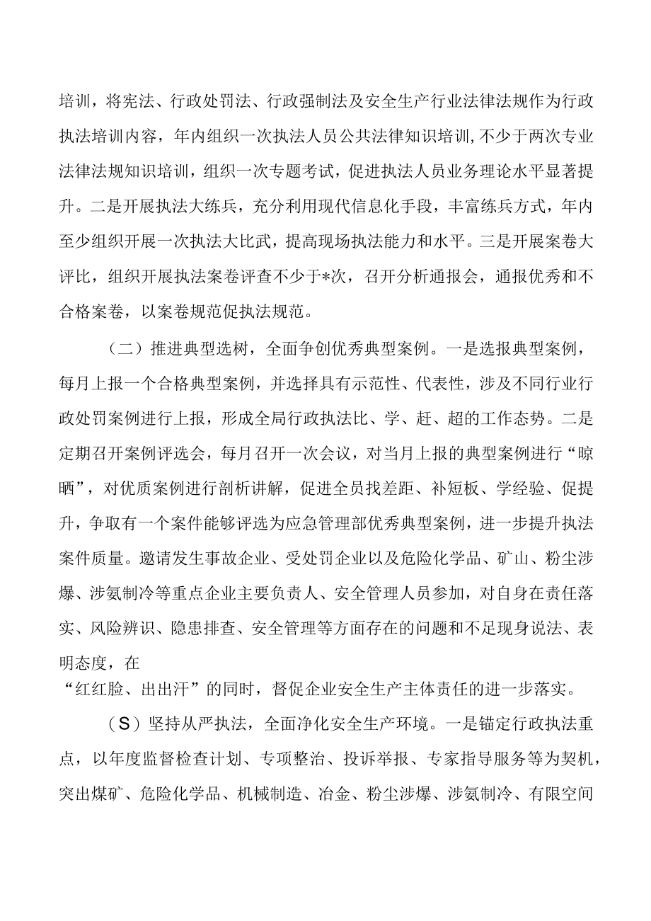 应急管理执法效能提升活动方案.docx_第2页