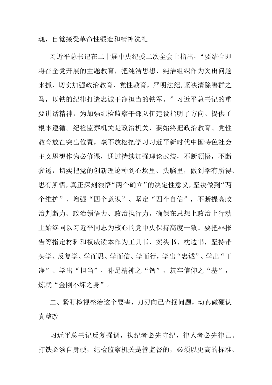 在2023年纪检监察干部队伍教育整顿座谈会上的交流发言.docx_第2页