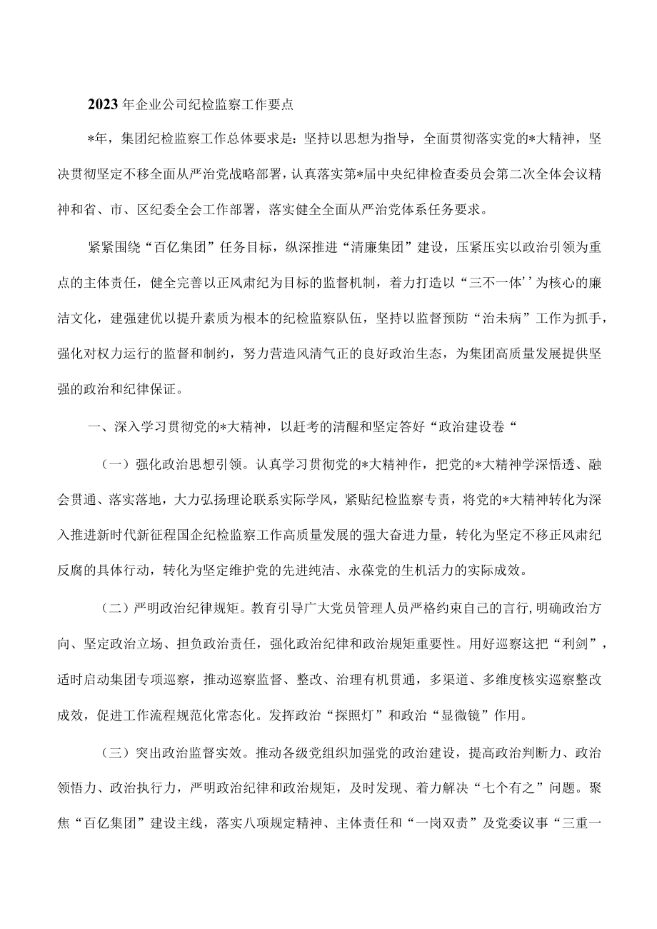 2023年企业公司纪检监察工作要点.docx_第1页