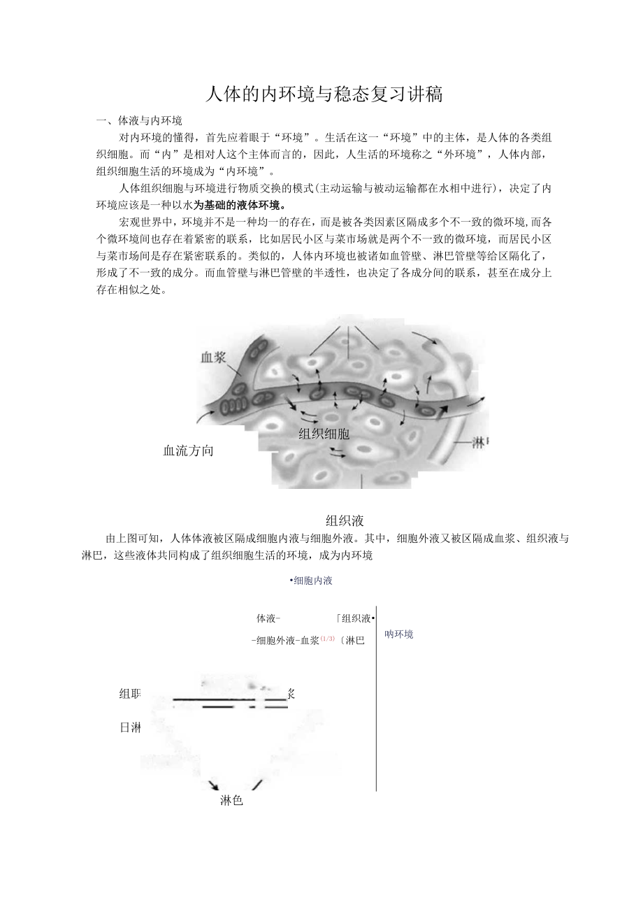 人体的内环境与稳态复习讲稿.docx_第1页