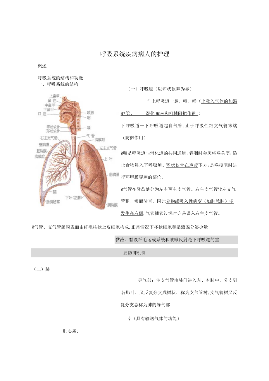 2023年内科护理学笔记呼吸系统.docx_第1页