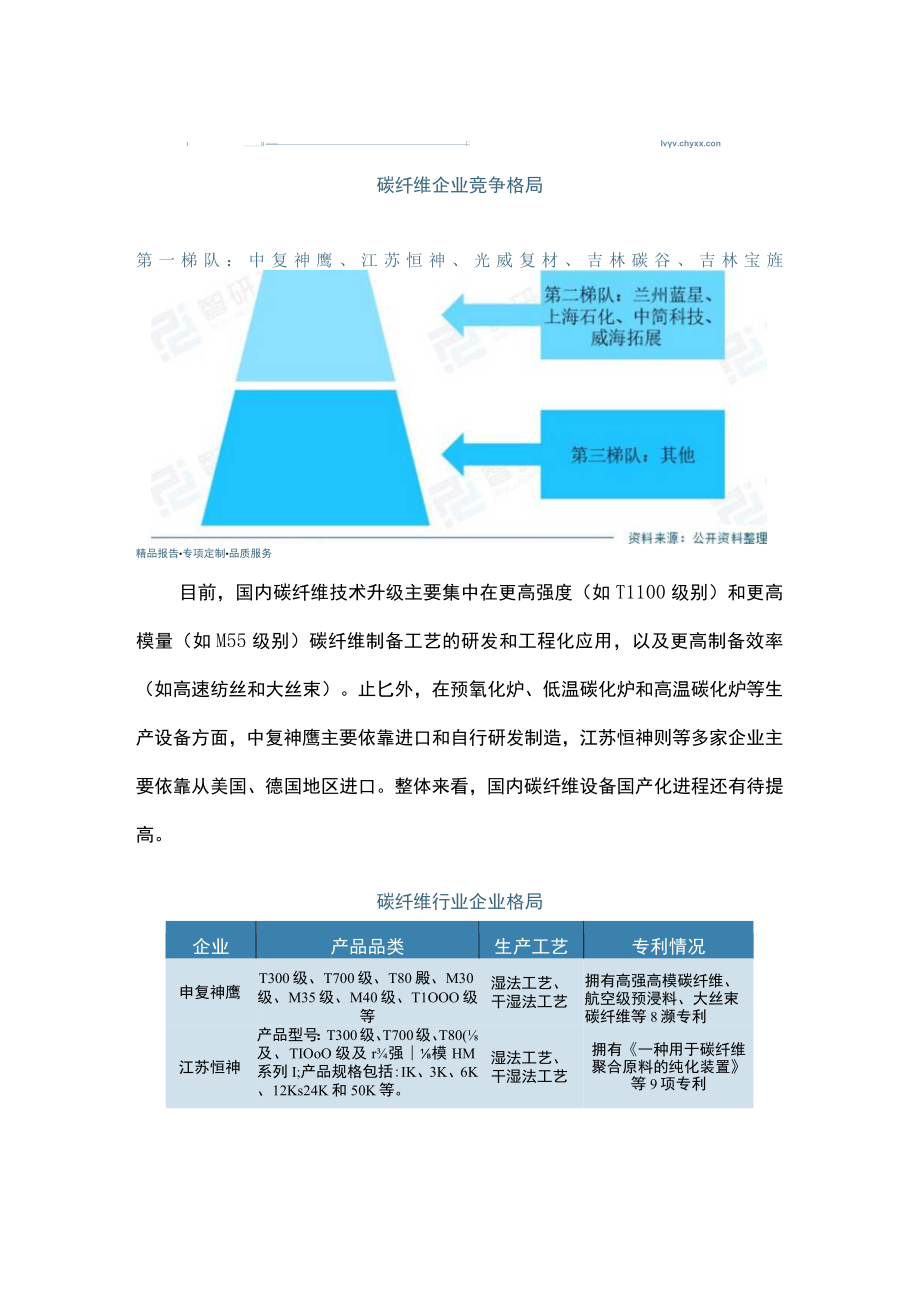 中国碳纤维企业竞争格局及行业发展研究报告.docx_第2页