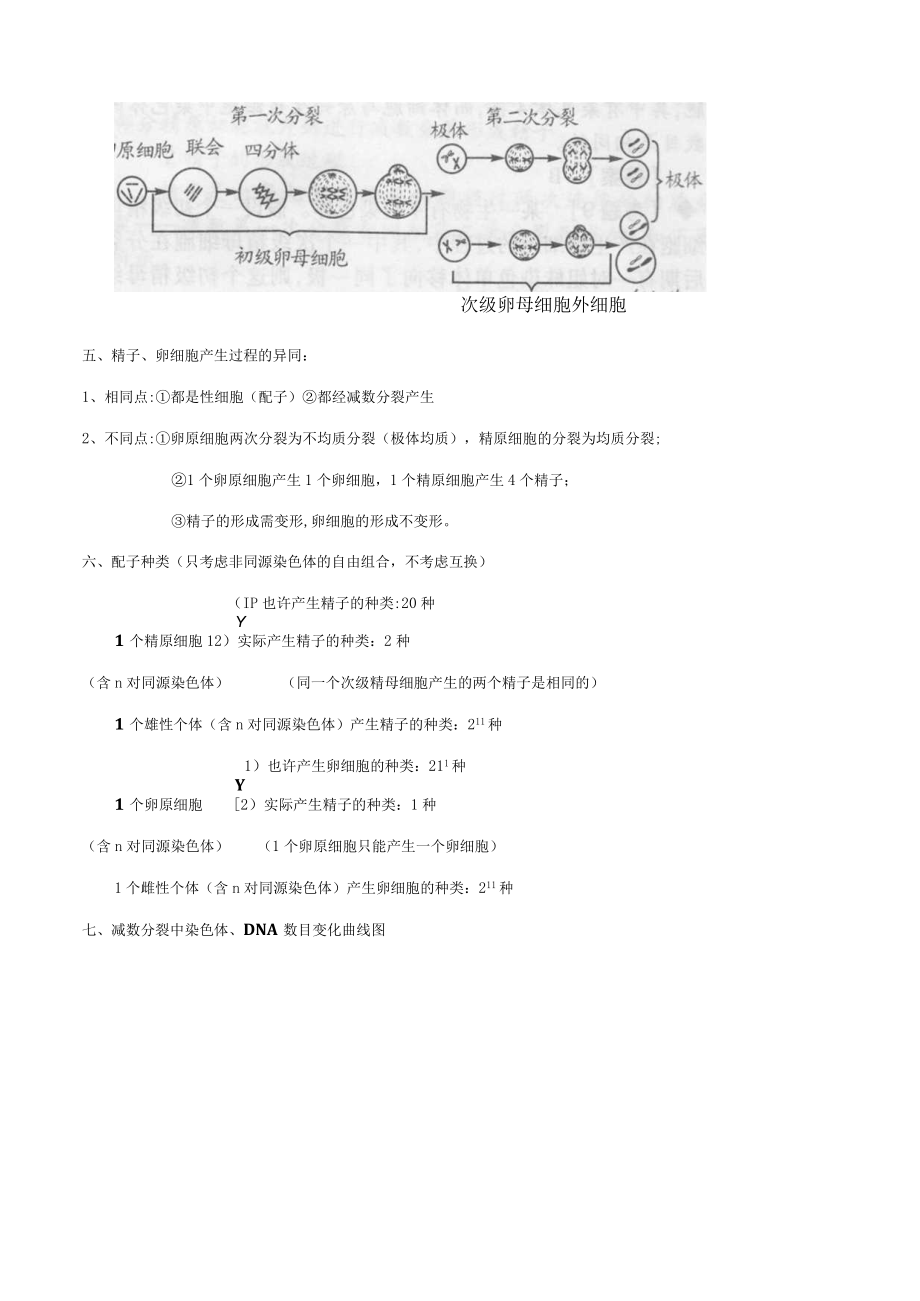 2023年减数分裂和有性生殖知识点归纳.docx_第2页