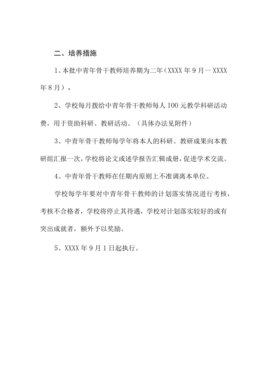 中青年骨干教师的培养计划.docx_第2页