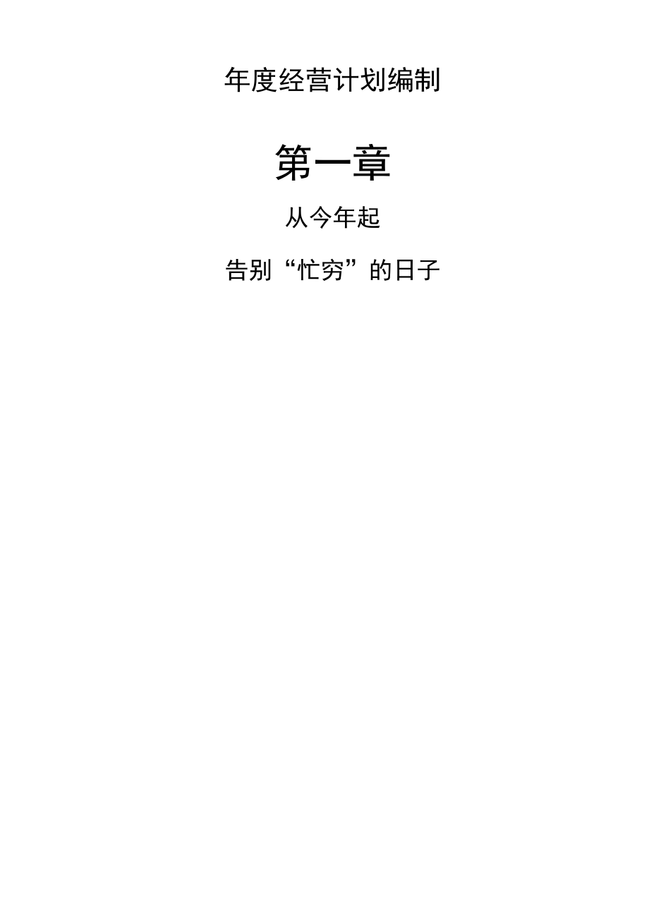 企业战略计划工具箱年度经营计划编制.docx_第2页