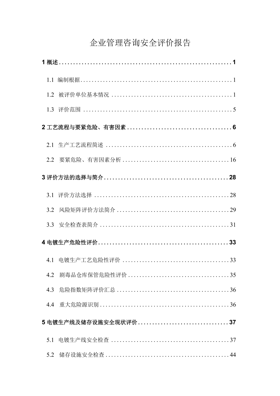 企业管理咨询安全评价报告.docx_第1页