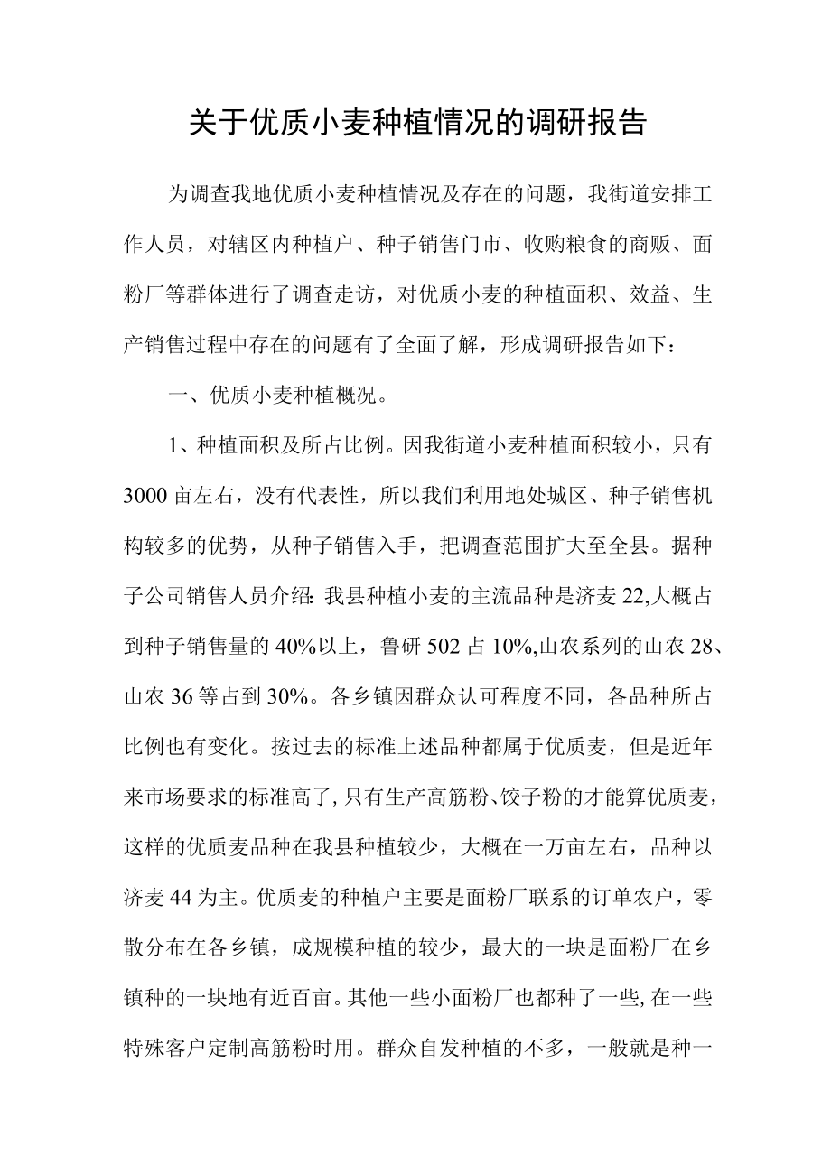 关于优质小麦种植情况的调研报告.docx_第1页