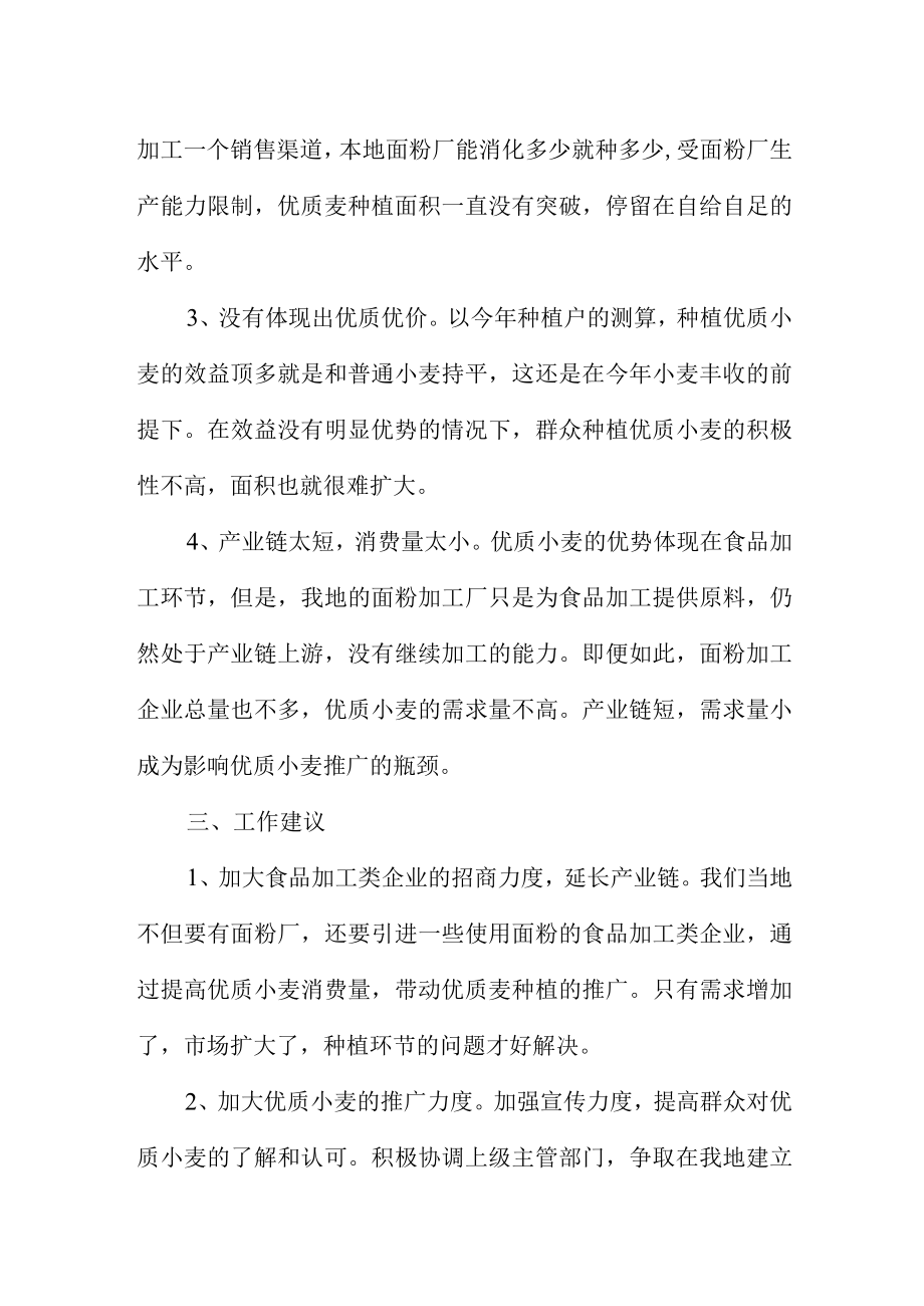 关于优质小麦种植情况的调研报告.docx_第3页