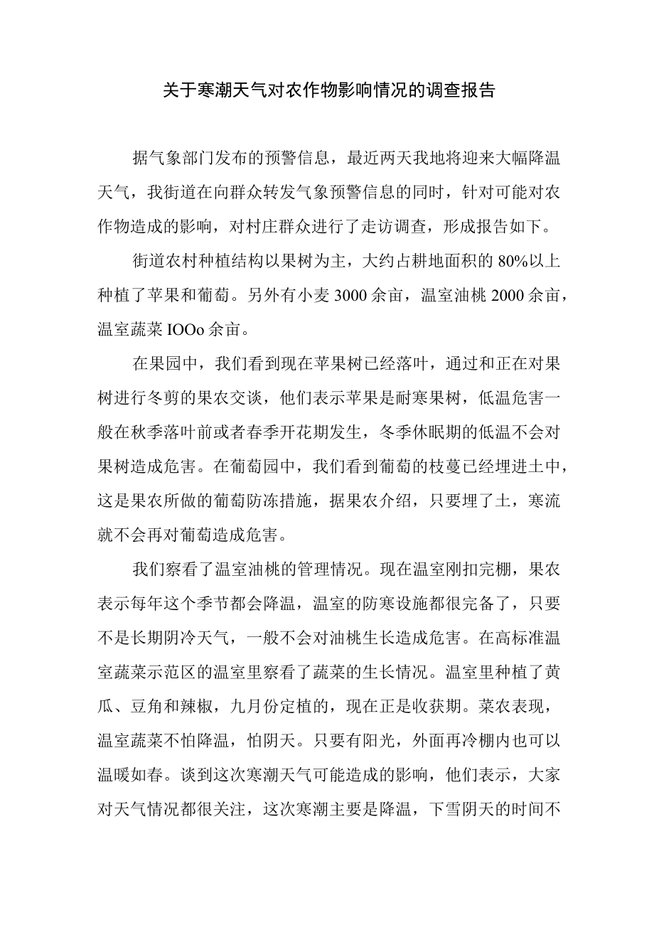 关于寒潮天气对农作物影响情况的调查报告.docx_第1页