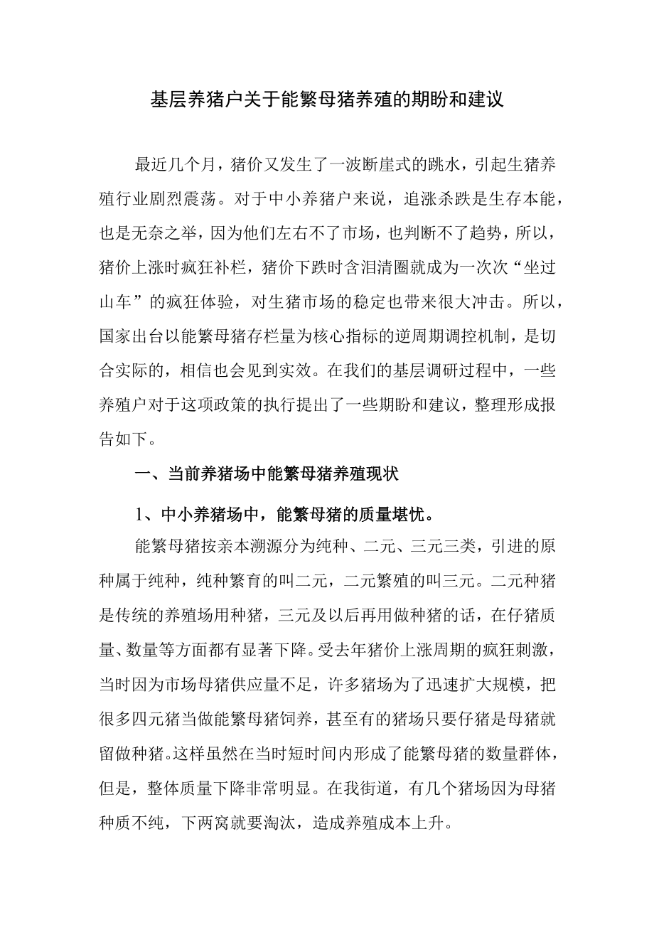 基层养猪户关于能繁母猪养殖的期盼和建议.docx_第1页