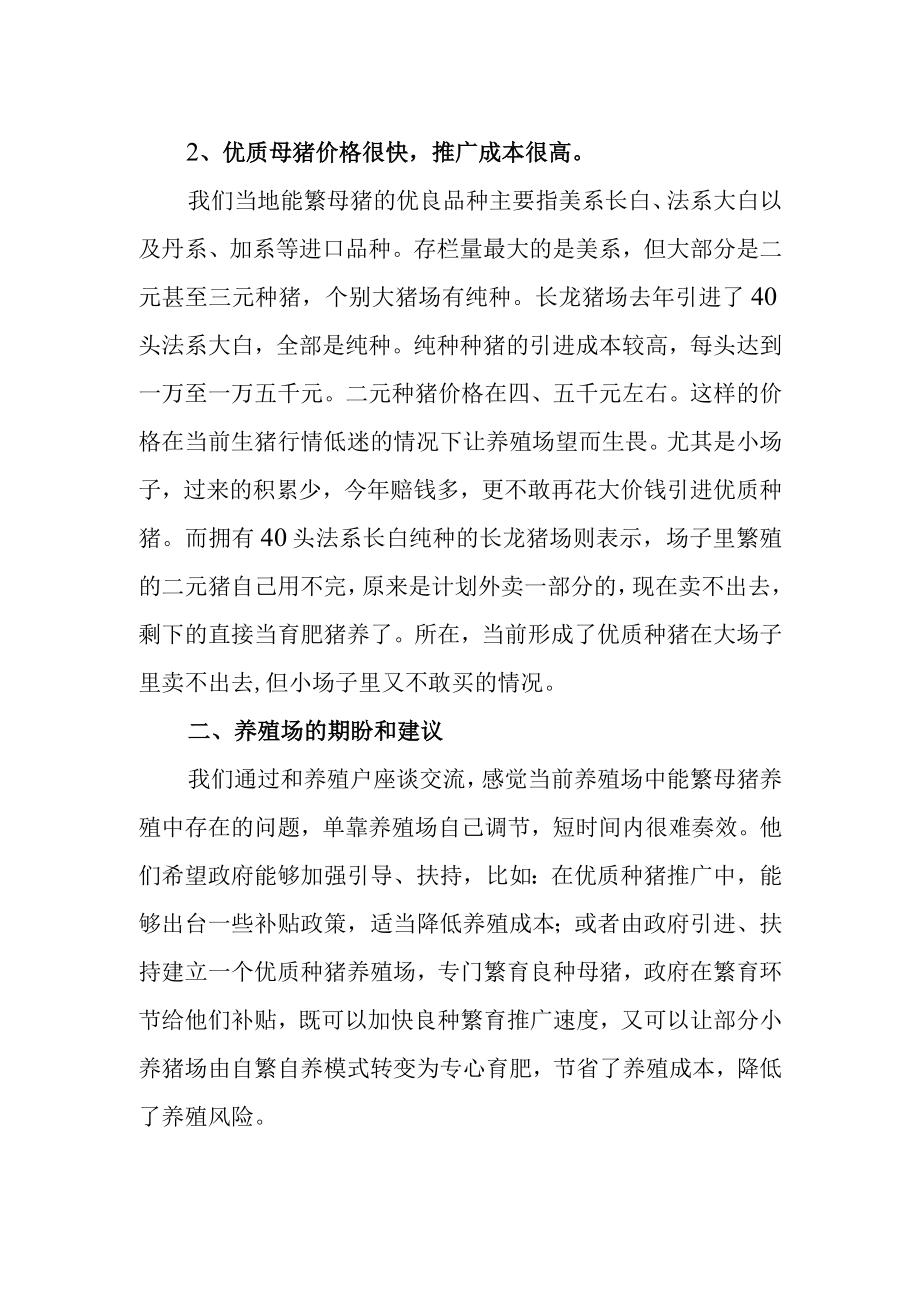 基层养猪户关于能繁母猪养殖的期盼和建议.docx_第2页