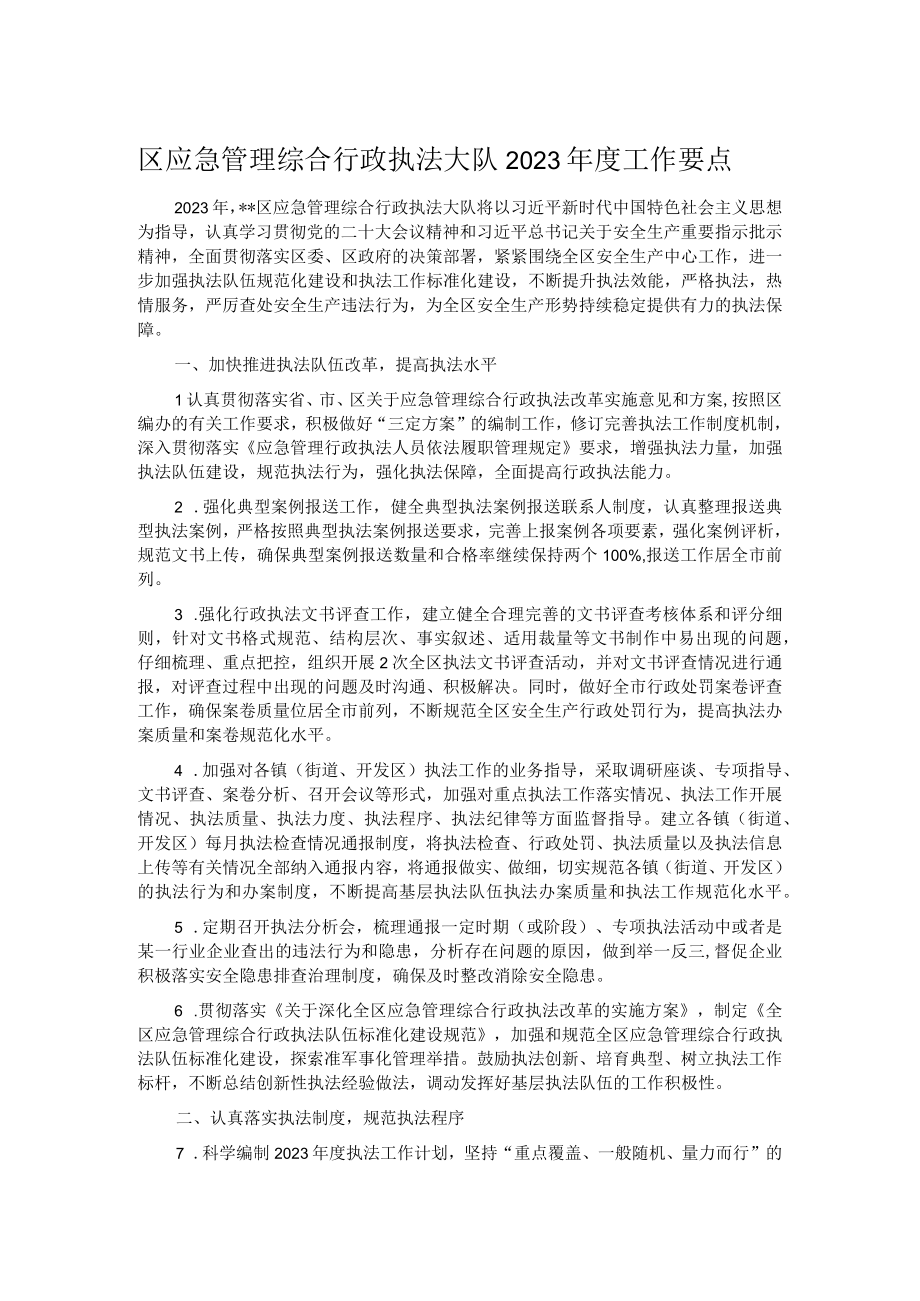 区应急管理综合行政执法大队2023年度工作要点.docx_第1页