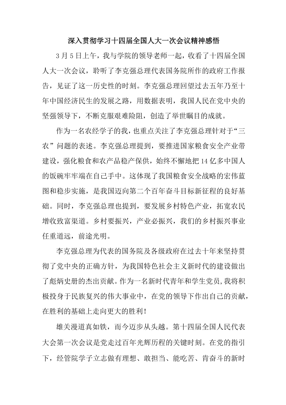 公安派出所深入贯彻学习十四届全国人大一次会议心得体会感悟4份.docx_第1页