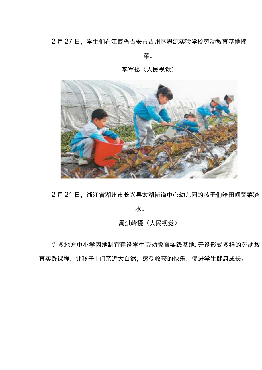 开展劳动教育助力健康成长公开课教案教学设计课件资料.docx_第2页