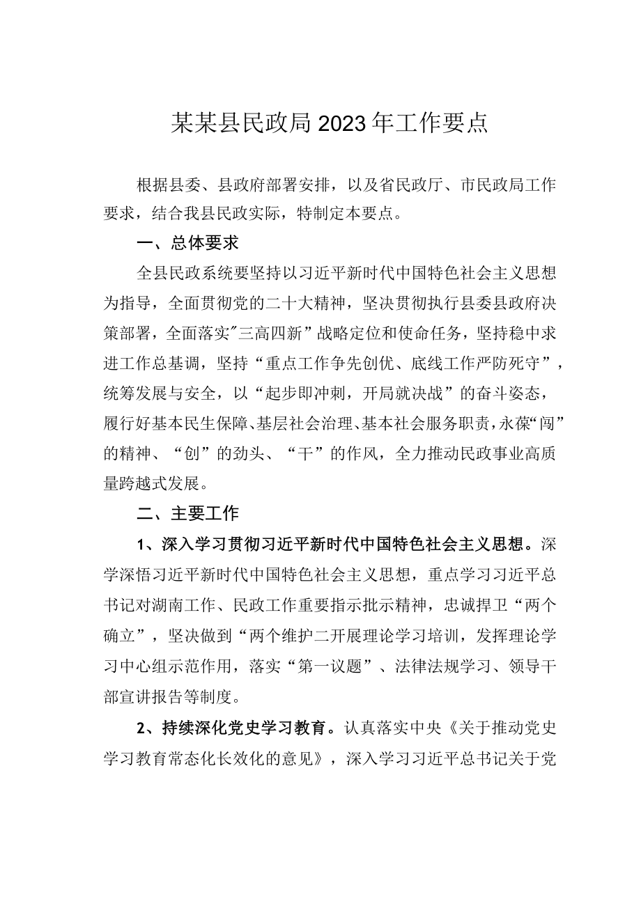 某某县民政局2023年工作要点.docx_第1页