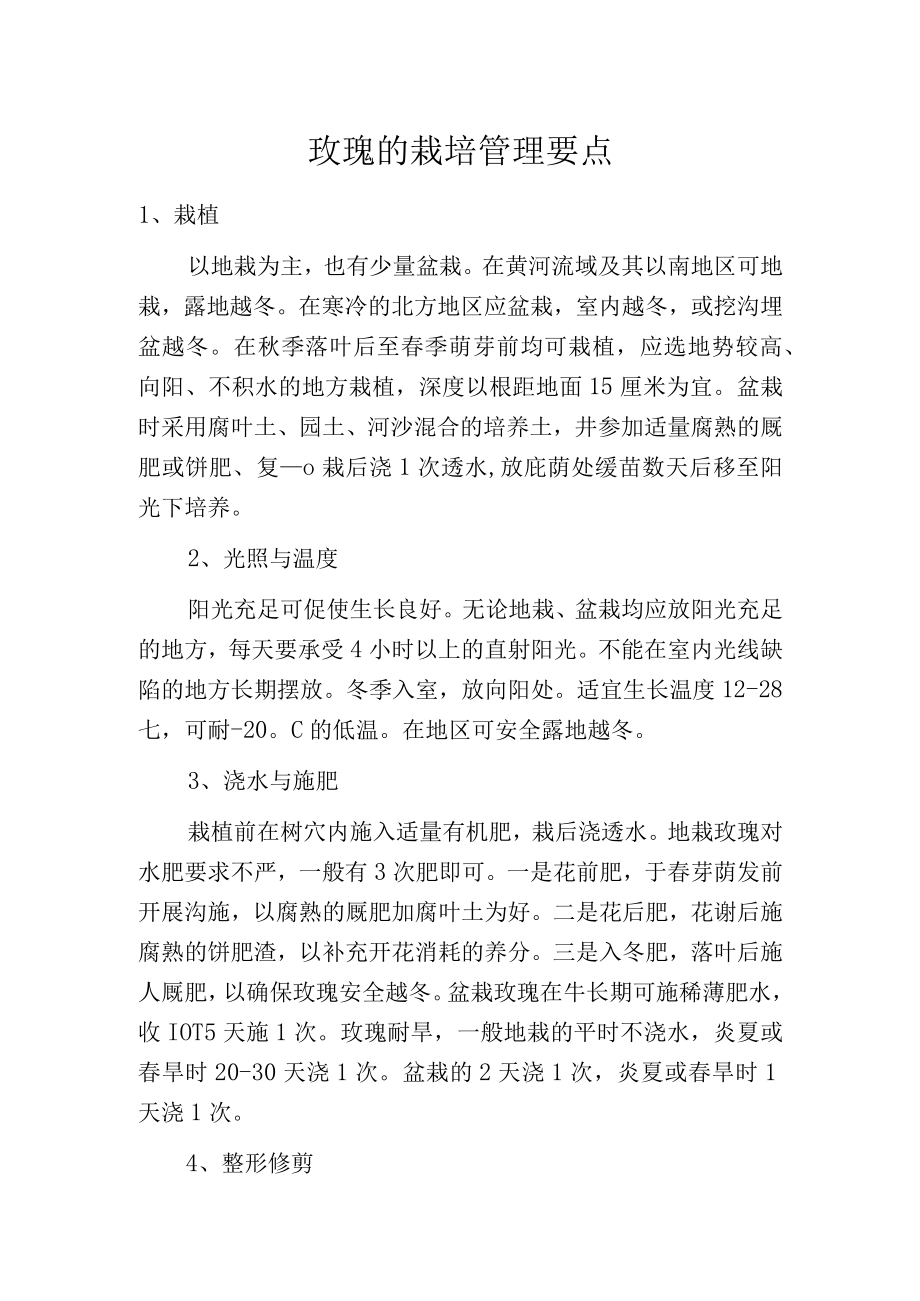 玫瑰的栽培管理要点.docx_第1页