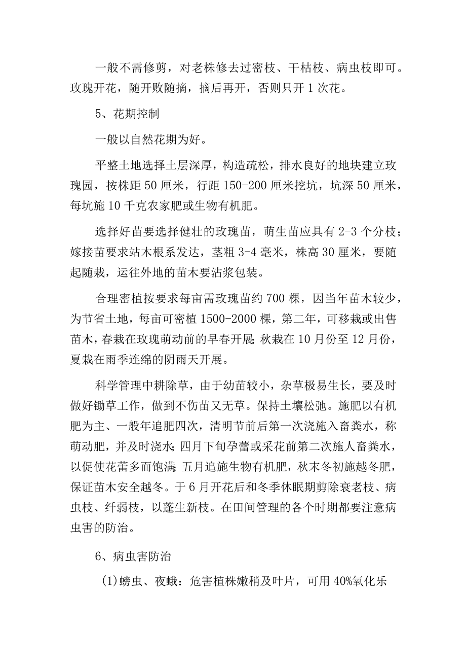 玫瑰的栽培管理要点.docx_第2页