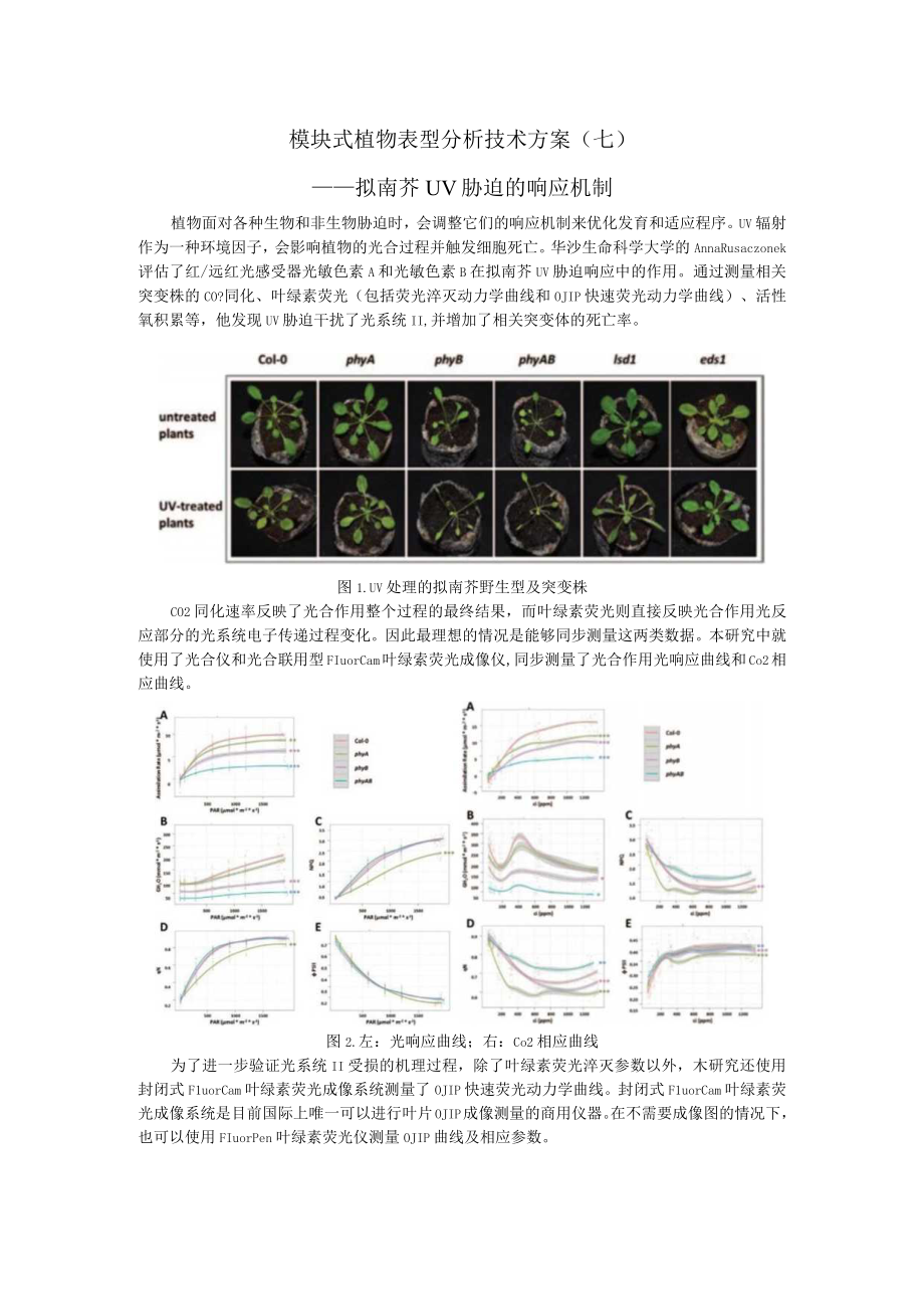 模块式植物表型分析技术方案 ——拟南芥UV胁迫的响应机制.docx_第1页