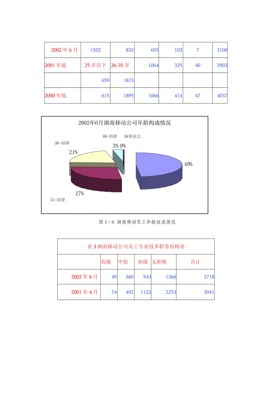 湖南移动通信人力资源现状与分析(doc 8页).docx_第2页