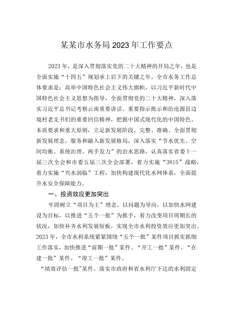 某某市水务局2023年工作要点.docx_第1页