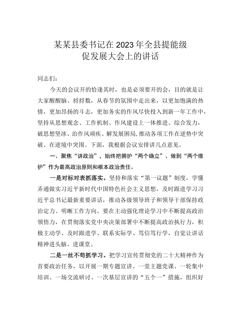 某某县委书记在2023年全县提能级促发展大会上的讲话.docx_第1页