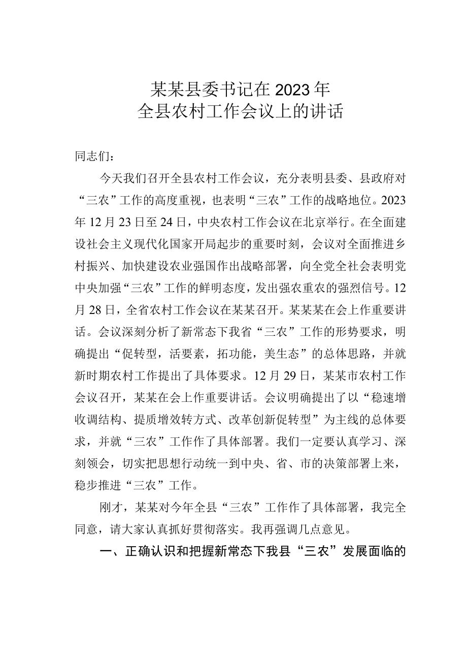 某某县委书记在2023年全县农村工作会议上的讲话.docx_第1页