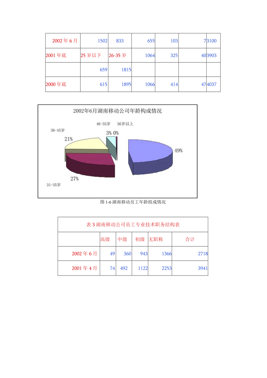 湖南移动通信公司人力资源现状与分析(DOC 8页).docx_第2页