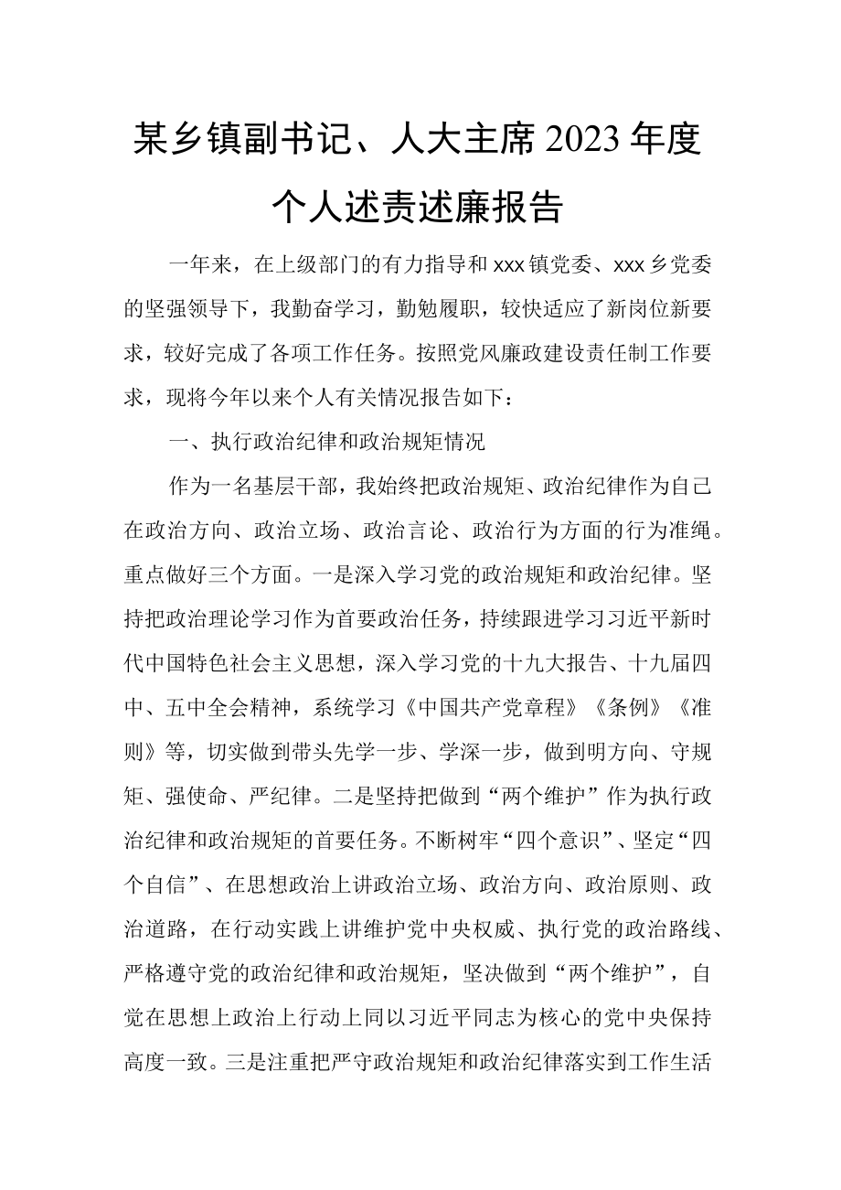 某乡镇副书记人大主席2023年度个人述责述廉报告.docx_第1页