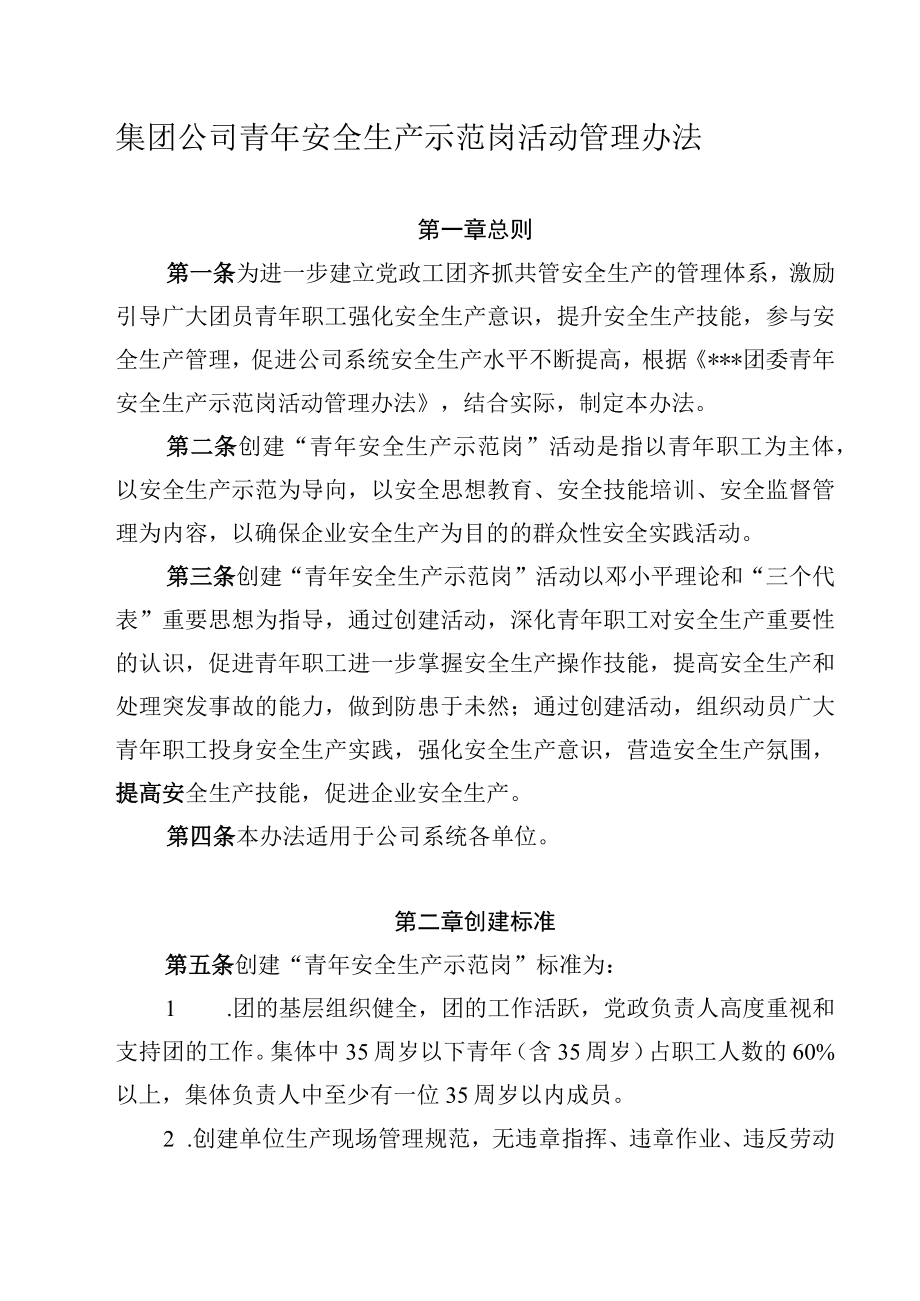 集团公司青年安全生产示范岗活动管理办法.docx_第1页