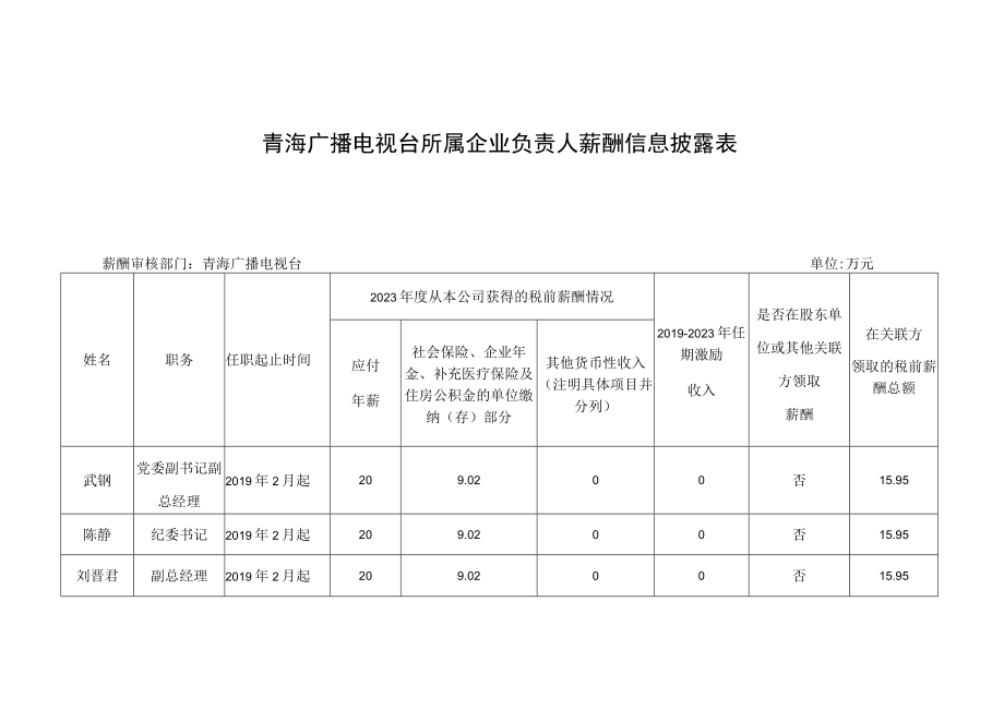 青海广播电视台所属企业负责人薪酬信息披露表.docx_第1页