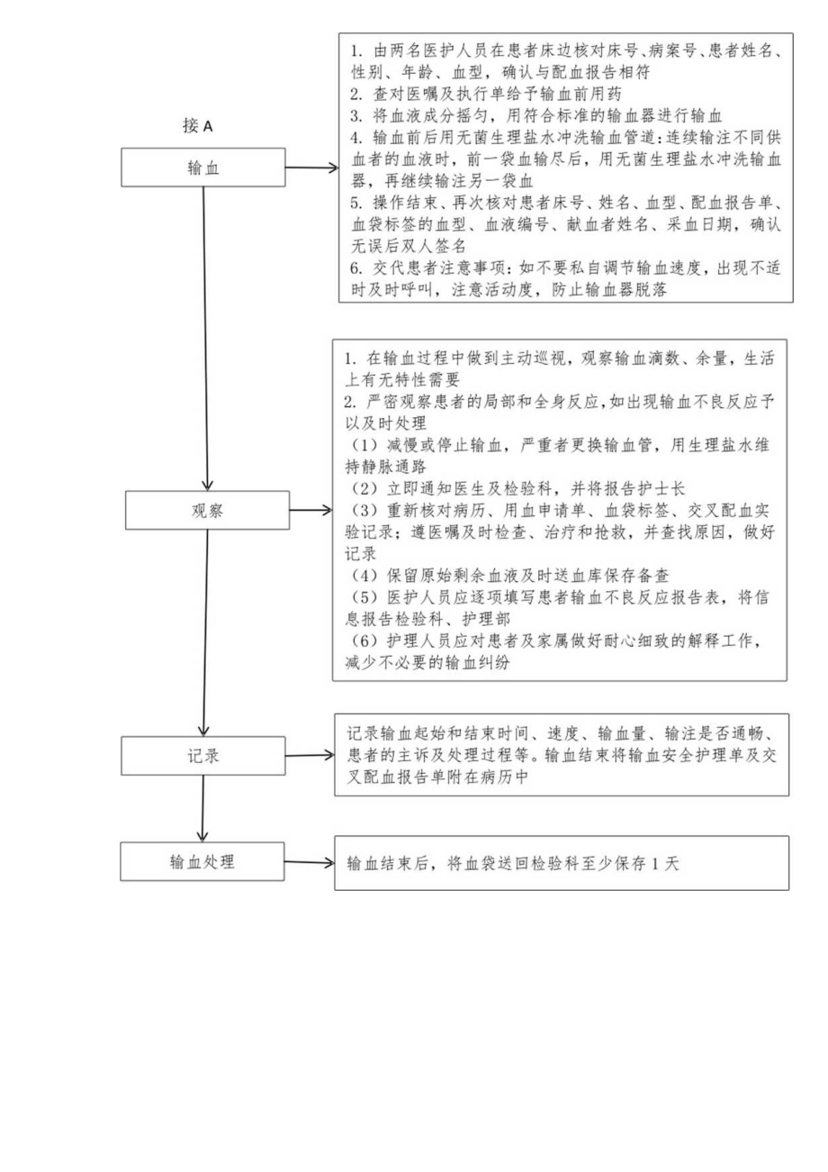 静脉输血管理流程图.docx_第2页