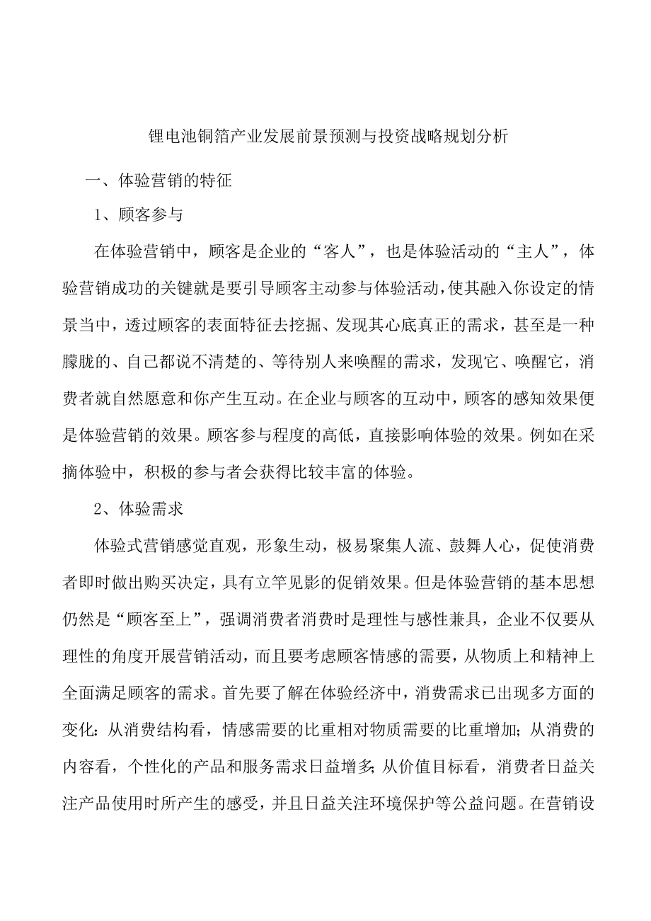 锂电池铜箔产业发展前景预测与投资战略规划分析.docx_第1页