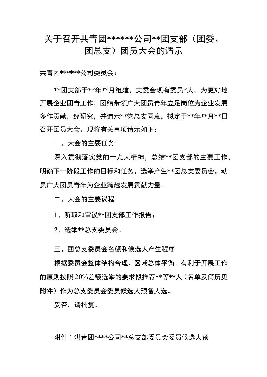 1模板：关于召开共青团XX公司XX支部团员大会的请示.docx_第1页