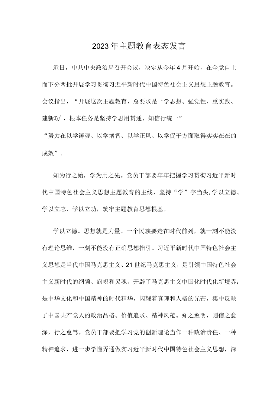 2023年主题教育表态发言.docx_第1页