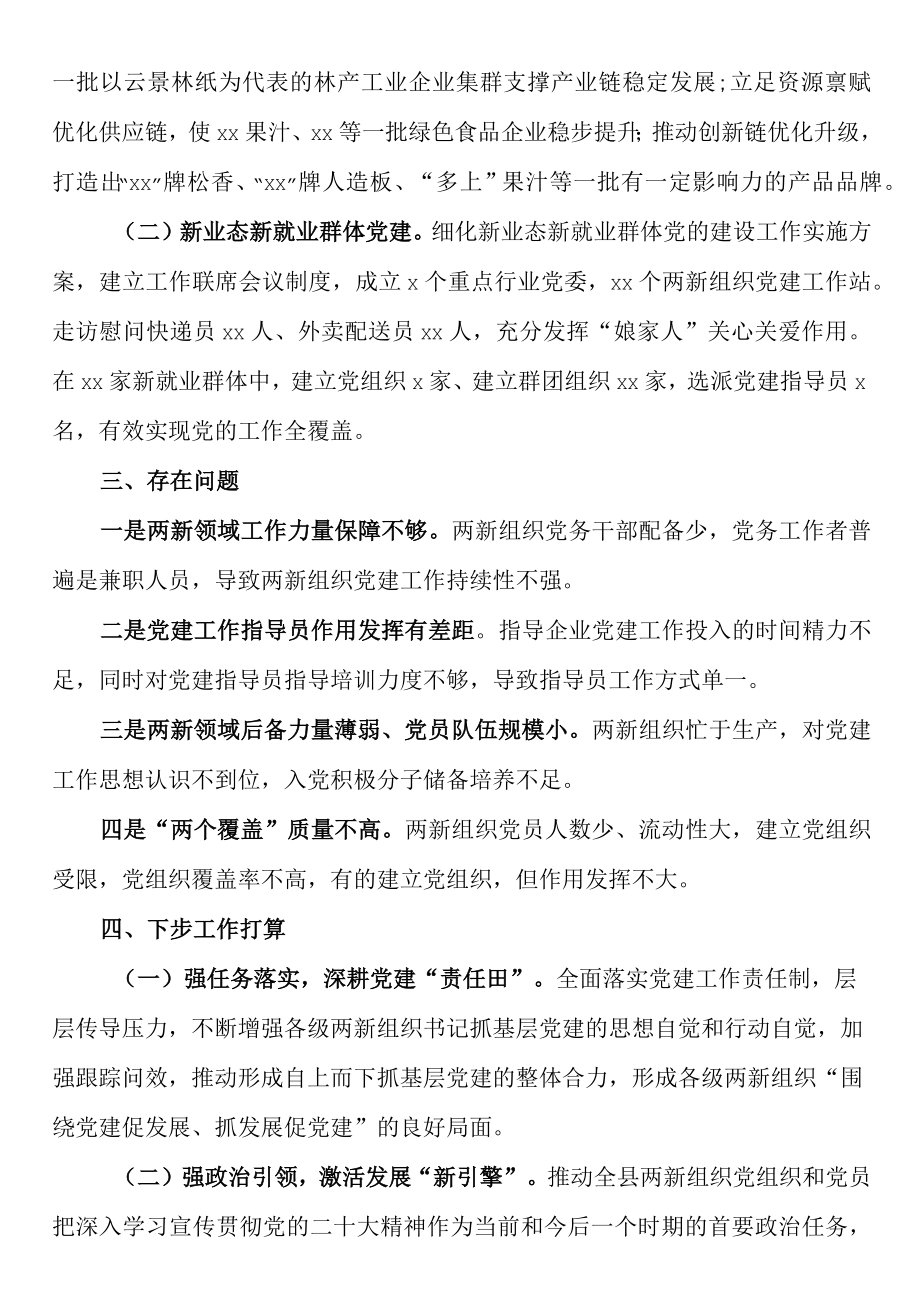 2023年两新组织工委书记抓基层党建工作述职报告.docx_第2页